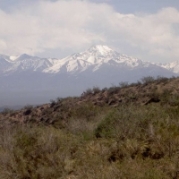 Foto de Mendoza