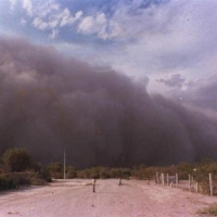 Foto de Torreón Coahuila