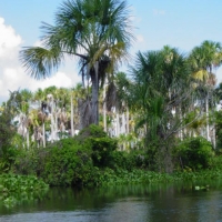 Foto de Maturín-Edo. Monagas