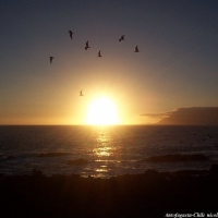 Foto de Antofagasta