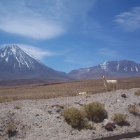 Foto de Antofagasta