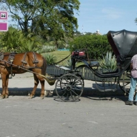 Foto de Habana