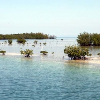 Foto de Varadero