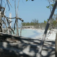 Foto de Varadero