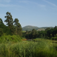 Foto de Guarnizo