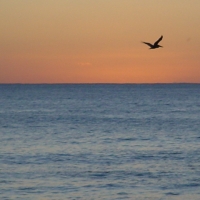 Foto de RINCON
