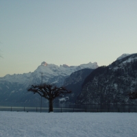 Foto de Brunnen (Suiza)