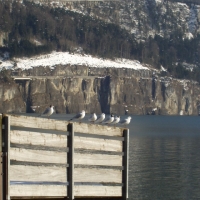 Foto de Brunnen (Suiza)