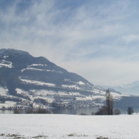 Foto de Lago Brunnen (Suiza)