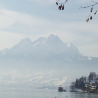 Foto de Lago Brunnen (Suiza)