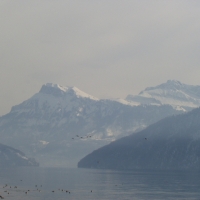 Foto de Lago Brunnen (Suiza)