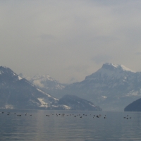 Foto de Lago Brunnen (Suiza)