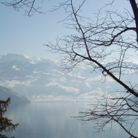 Foto de Lago Brunnen (Suiza)