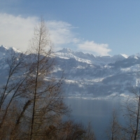 Foto de Lago Brunnen (Suiza)