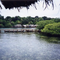 Foto de bocas del toro