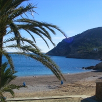 Foto de Albir