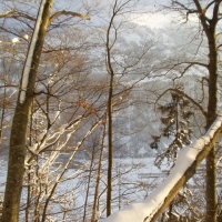 Foto de Altdorf (Suiza)