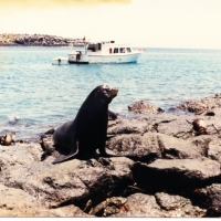 Foto de Galapagos