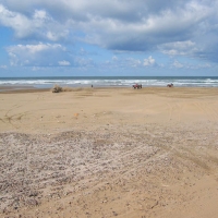Foto de PLAGE BLANCHE