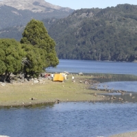 Foto de Villa Pehuenia