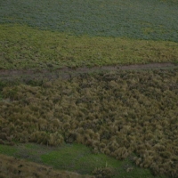 Foto de Pichincha