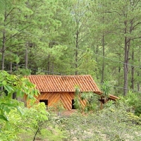 Foto de Morazán