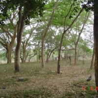Foto de San Miguel