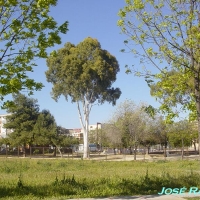 Foto de Jerez  de la Frontera