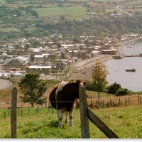 Foto de Chiloé