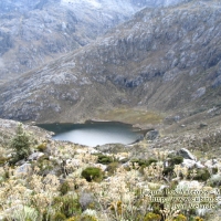 Foto de Mérida
