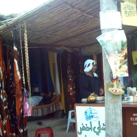 Foto de Tamerza