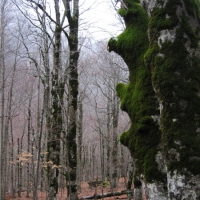 Foto de Huesca