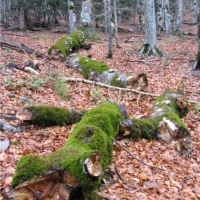 Foto de Huesca