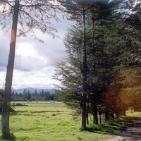 Foto de Cajamarca