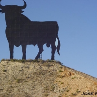 Foto de El Puerto de Santa María