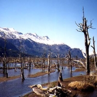 Foto de Cochrane