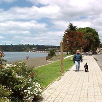 Foto de Frutillar