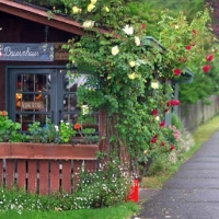 Foto de Frutillar