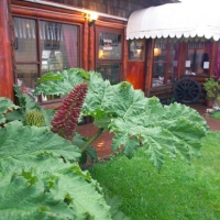 Foto de Frutillar