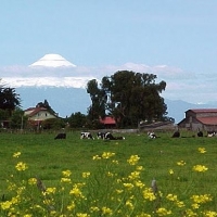 Foto de Frutillar
