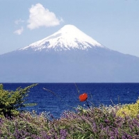 Foto de Frutillar