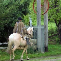 Foto de Panguipulli
