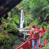 Foto de Panguipulli