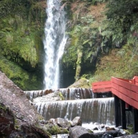 Foto de Panguipulli