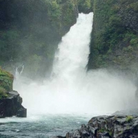 Foto de Pucon