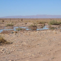Foto de LAGO IRIKI