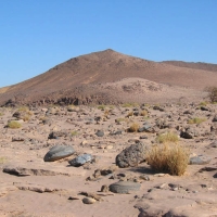 Foto de LAGO IRIKI