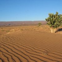Foto de LAGO IRIKI