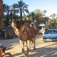 Foto de ZAGORA
