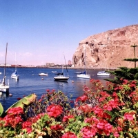 Foto de Arica
